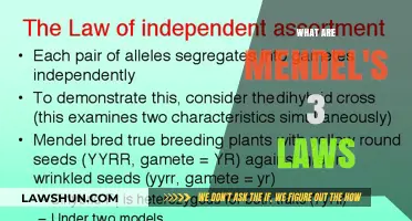 Unraveling the Genetic Code: Mendel's Laws of Inheritance Explained