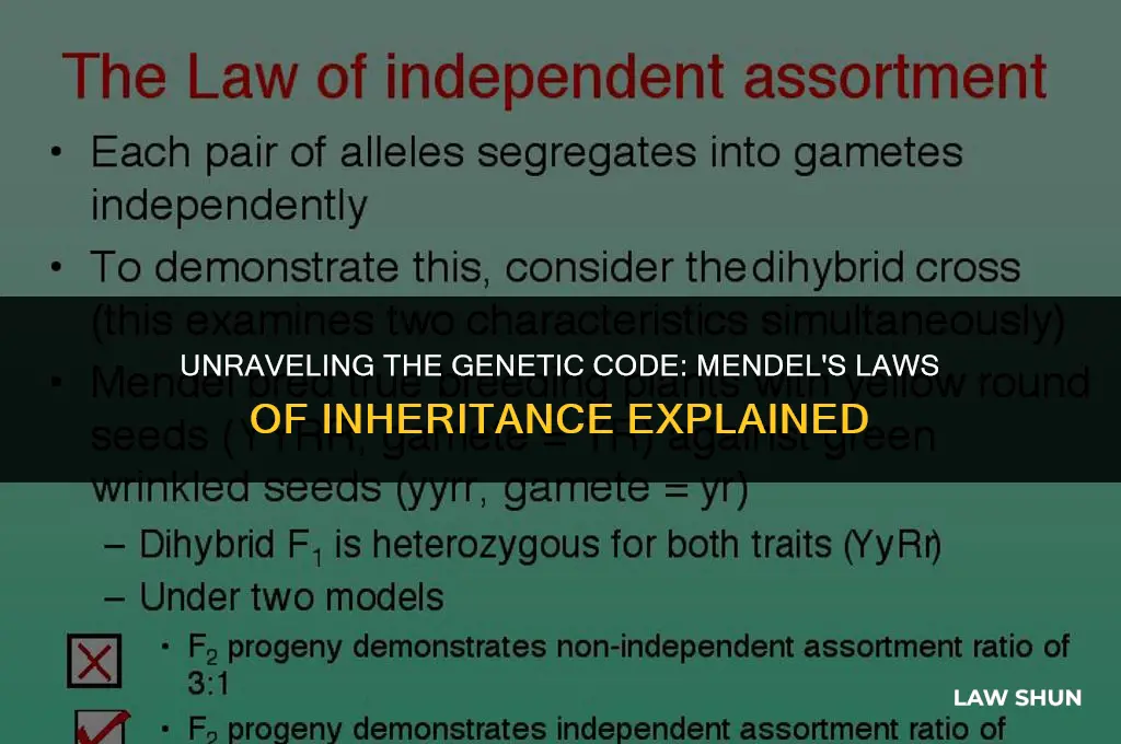 what are mendel