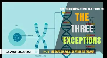 Mendel's Laws and Exceptions: Unraveling Genetic Inheritance Principles