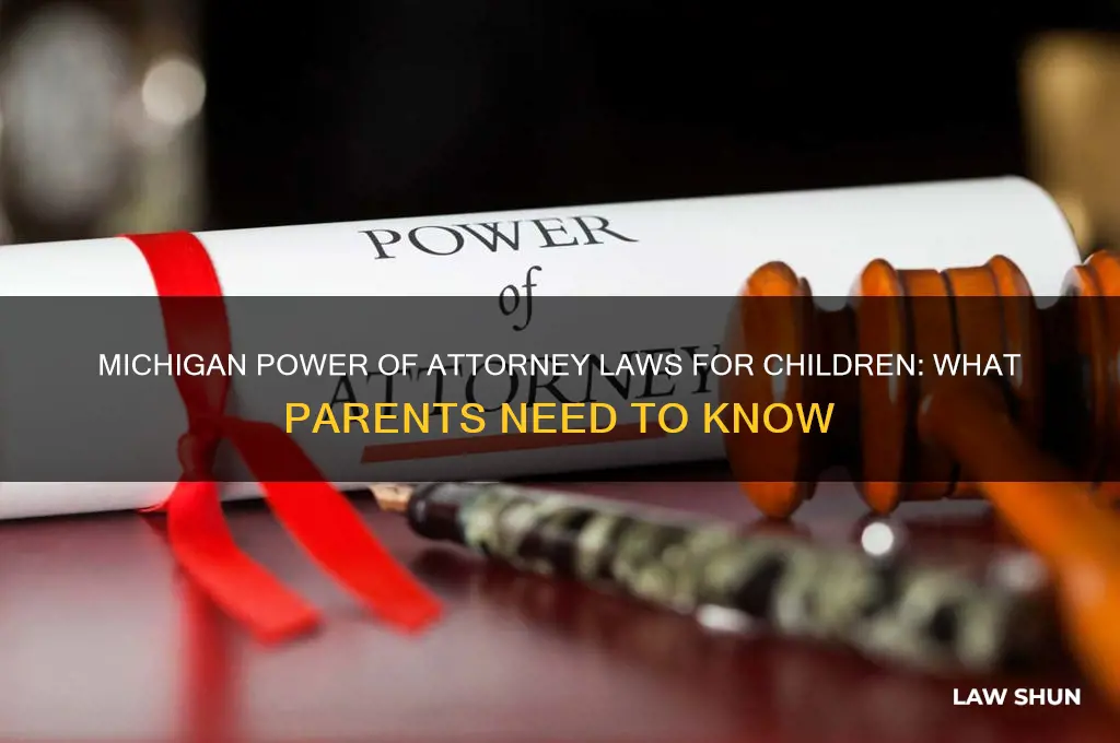 what are michigan laws on power of attorney for children