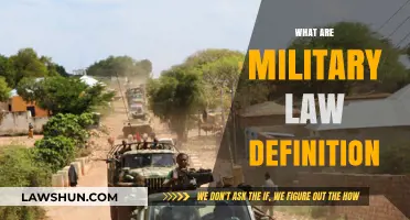 Understanding Military Law: Definition, Scope, and Key Principles Explained