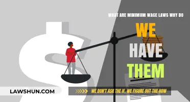 Understanding Minimum Wage Laws: Purpose, Impact, and Necessity Explained