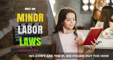 Understanding Minor Labor Laws: Rights, Restrictions, and Protections Explained