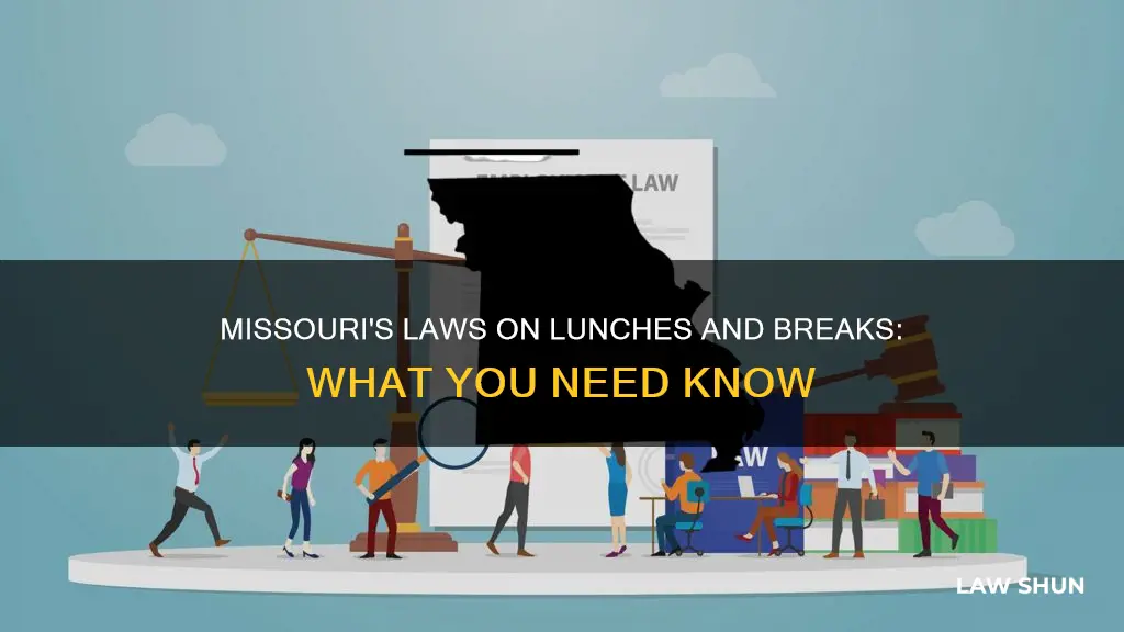 what are missouri laws on breaks and lunches