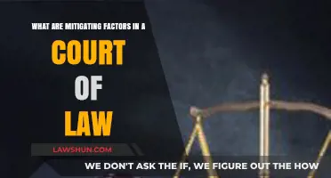 Understanding Mitigating Factors: How They Influence Legal Outcomes in Court