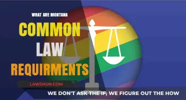 Montana Common Law Marriage Requirements Explained