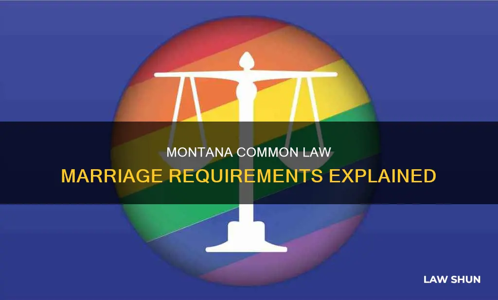 what are montana common law requirments
