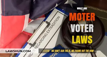 Understanding Motor Voter Laws: Simplifying Voter Registration for All Citizens