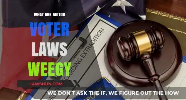 Understanding Motor Voter Laws: Simplifying Voter Registration for Citizens