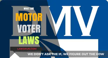 Understanding Motor Voter Laws: Simplifying Voter Registration at the DMV