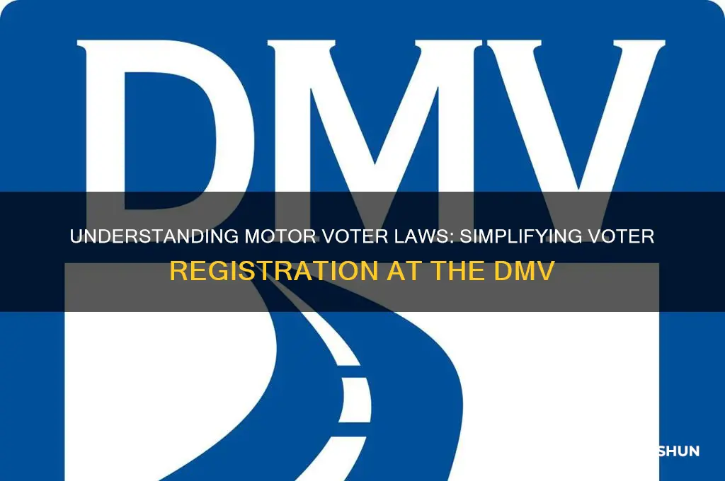 what are motor voter laws