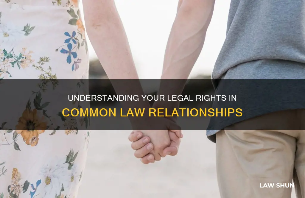 what are my legal rights in a common law relationship