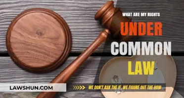 Understanding Your Common Law Rights
