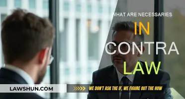 Contract Law: Understanding the Necessaries