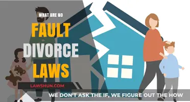 Understanding No-Fault Divorce Laws: A Comprehensive Guide