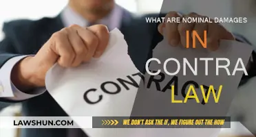 Understanding Nominal Damages in Contract Law