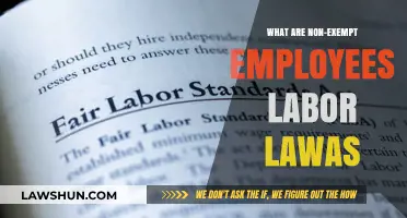 Understanding Non-Exempt Employees: Labor Laws and Your Rights Explained