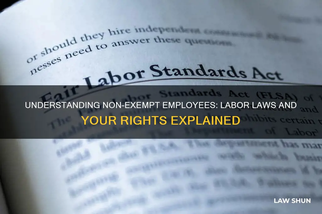 what are non-exempt employees labor lawas