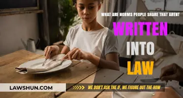 Unwritten Rules: Exploring Shared Social Norms Beyond Legal Boundaries