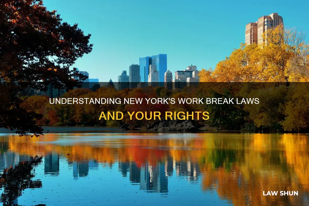 what are ny work break laws