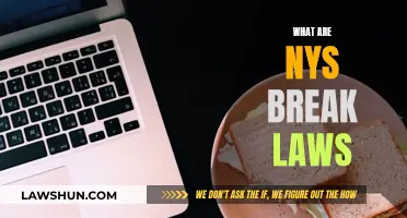 Understanding New York's Break Laws: Your Rights Explained