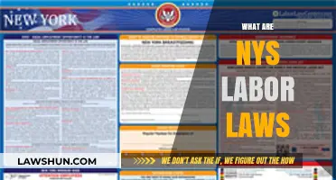 Understanding New York State Labor Laws: Rights, Regulations, and Compliance