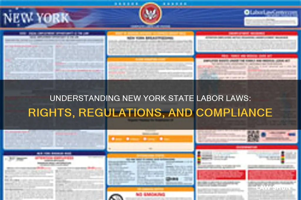 what are nys labor laws