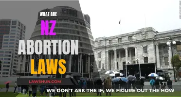 Abortion Laws in New Zealand: What You Need to Know