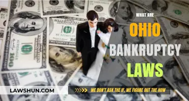 Understanding Ohio Bankruptcy Laws: A Comprehensive Guide to Your Options