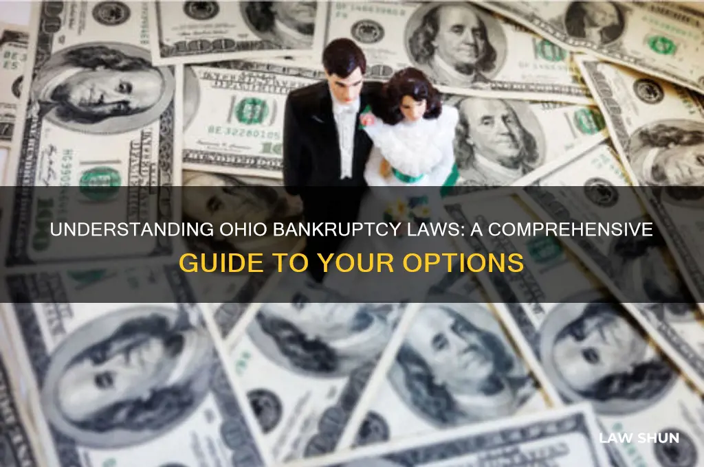 what are ohio bankruptcy laws