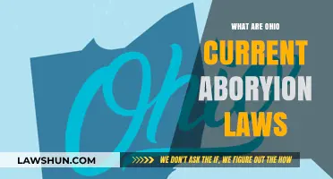 Ohio's Abortion Laws: Current Regulations, Restrictions, and Legal Framework