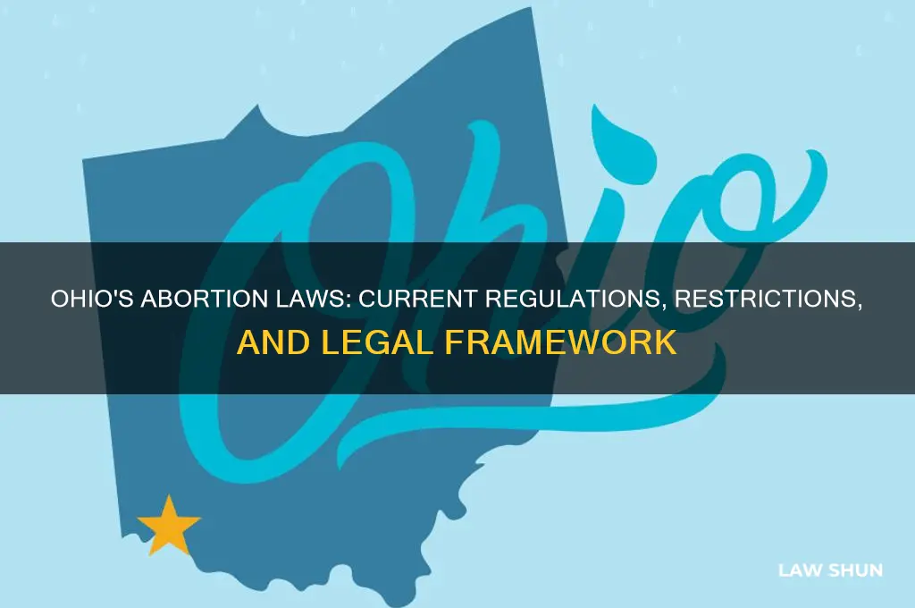 what are ohio current aboryion laws