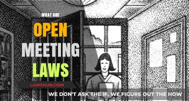 Understanding Open Meeting Laws: Transparency and Public Access Explained