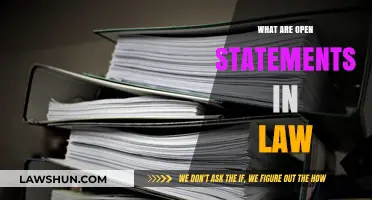 Understanding Open Statements: Key Legal Definitions and Practical Applications