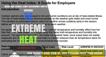 OSHA's Extreme Heat Regulations: Protecting Workers in High-Temperature Environments