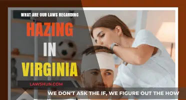 Virginia's Hazing Laws: Understanding Legal Consequences and Prevention Measures