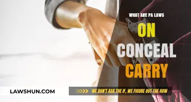Pennsylvania Concealed Carry Laws: Understanding Permits, Regulations, and Requirements