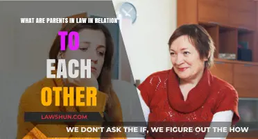 Understanding the Legal and Emotional Dynamics of In-Law Relationships