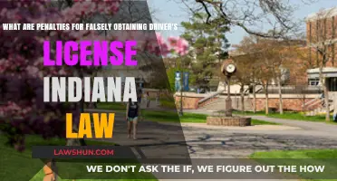 Indiana's Penalties for Falsely Obtaining a Driver's License