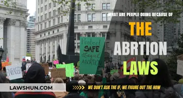Abortion Law Impact: How People Are Adapting and Responding