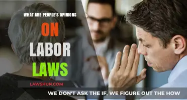 Labor Laws: Public Opinions, Workplace Impacts, and Future Reforms