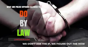 Understanding Police Powers: Legal Boundaries and Officer Authority Explained