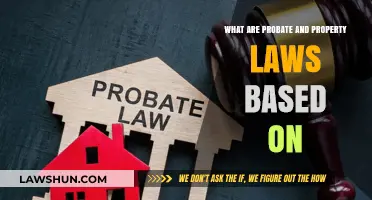 Understanding Probate and Property Laws: Foundations and Legal Principles Explained