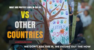 Comparing US Protest Laws to Global Freedom of Assembly Rights
