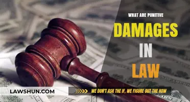 Understanding Punitive Damages: A Comprehensive Guide to Legal Compensation