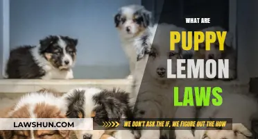 Understanding Puppy Lemon Laws: Protecting Your Rights as a Pet Owner