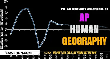Ravenstein's Migration Laws: AP Human Geography Explained Simply