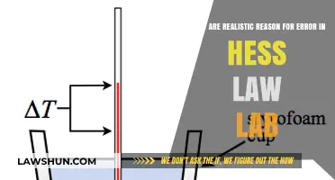 Common Realistic Causes of Errors in Hess's Law Experiments