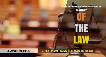 Legal Consequences: Understanding the Impact of Contempt of Law