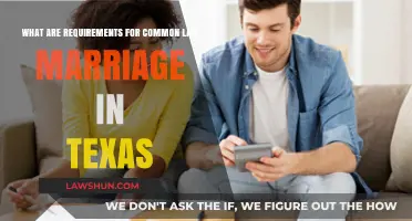 Understanding Texas Common Law Marriage Requirements